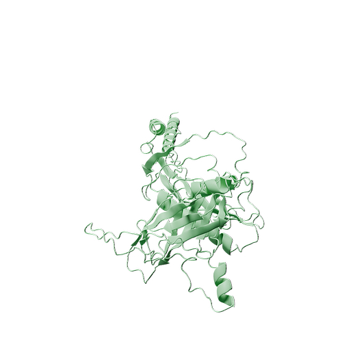 P10600-Biotinylated Human TGF-beta 3 -3d structure.jpg